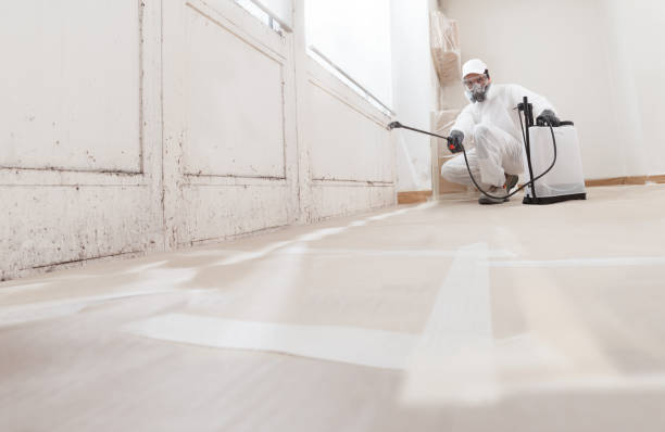24/7 Emergency Black Mold Remediation experts in Unionville, PA